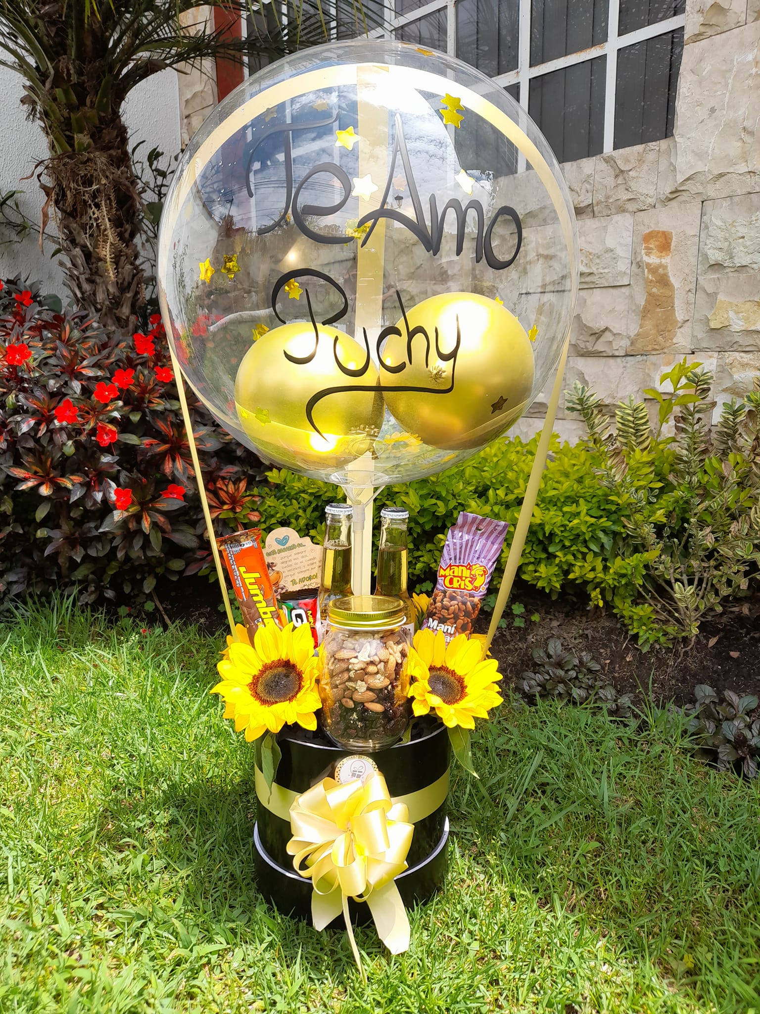 Componente de imagen